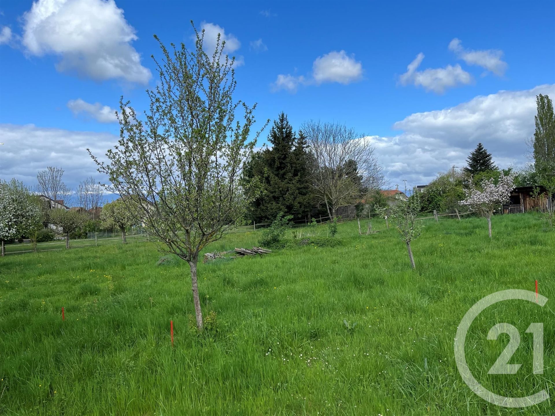 Purchase: Land (74380) - Widok 4
