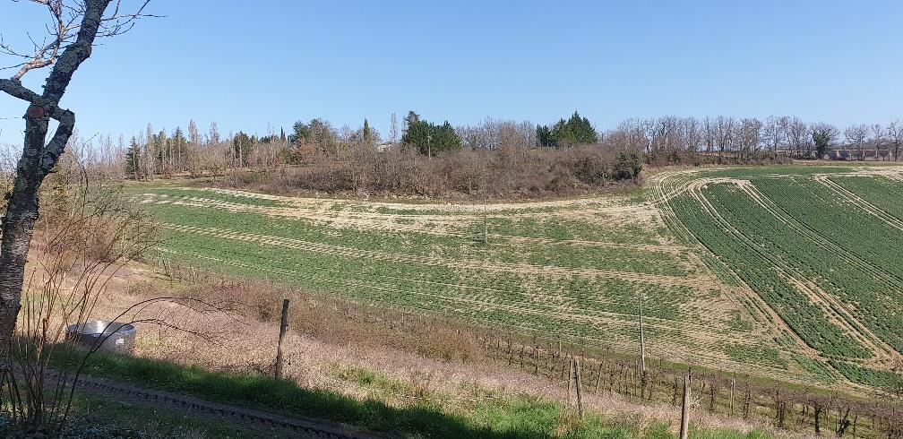 Maison à vendre, 130m², Lauzerte