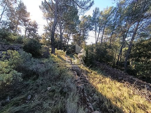 Terrain 4453 m² · à Vidauban · 18 000 €
