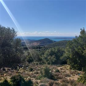 Advert pic 0