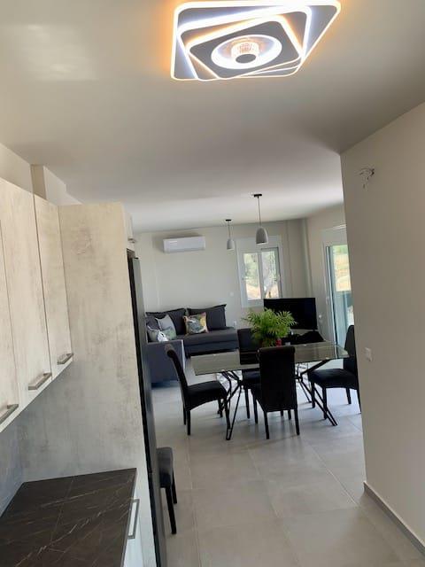 For sale 2 newly built Villas in Dilinata, Kefalonia