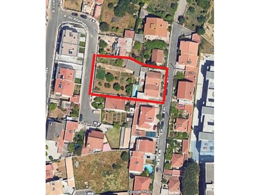 Advert pic 0
