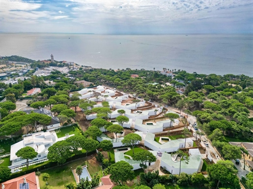 Advert pic 0