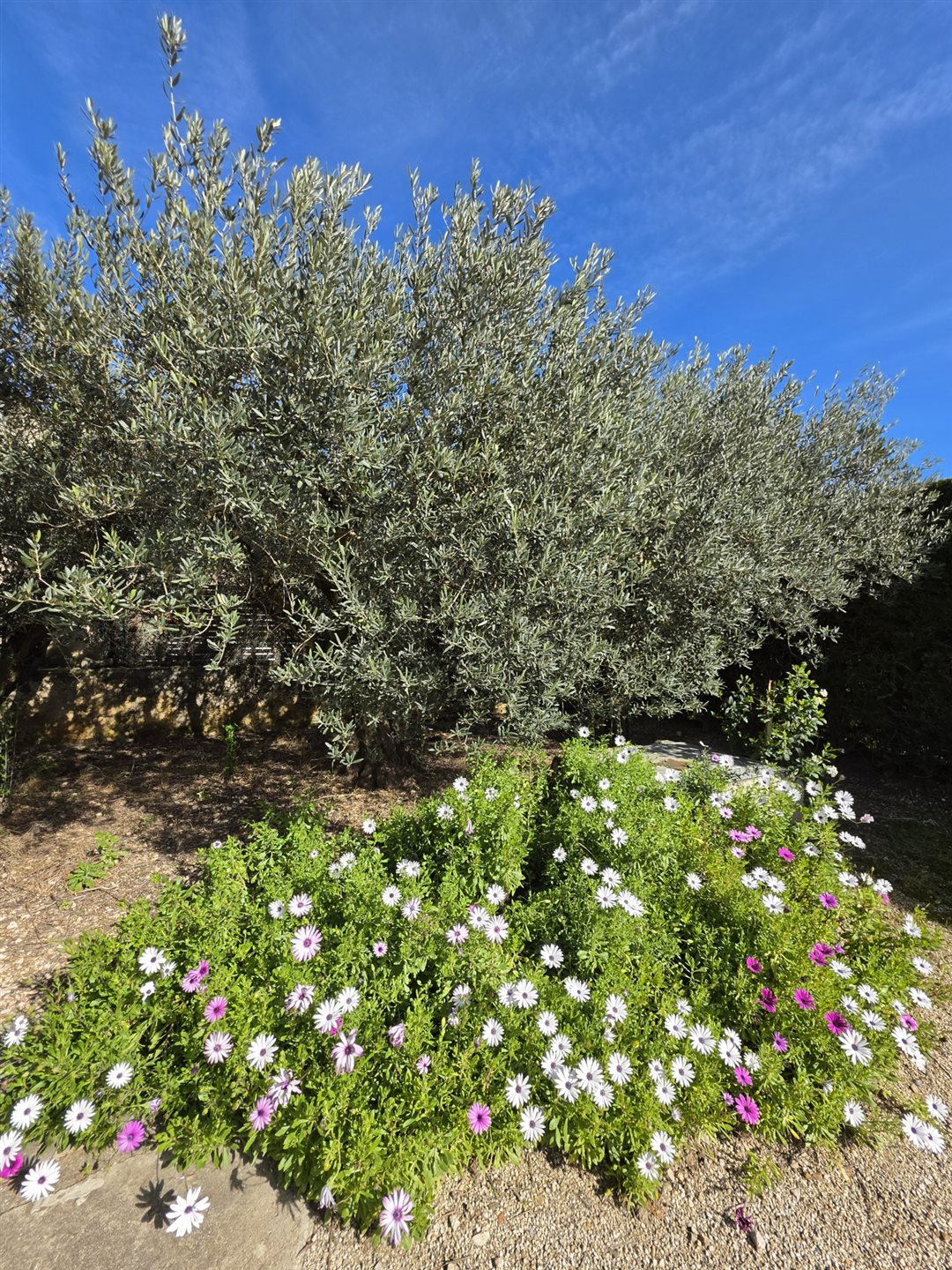 Maison à vendre, 86m², Fontvieille