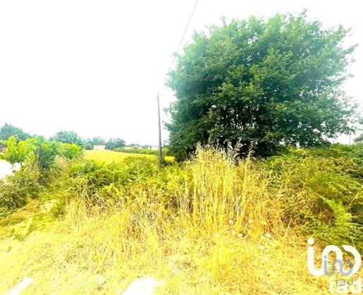 Advert pic 0