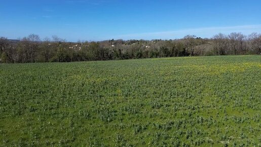 Terrain 5000 m² · à Villetoureix · 57 500 €