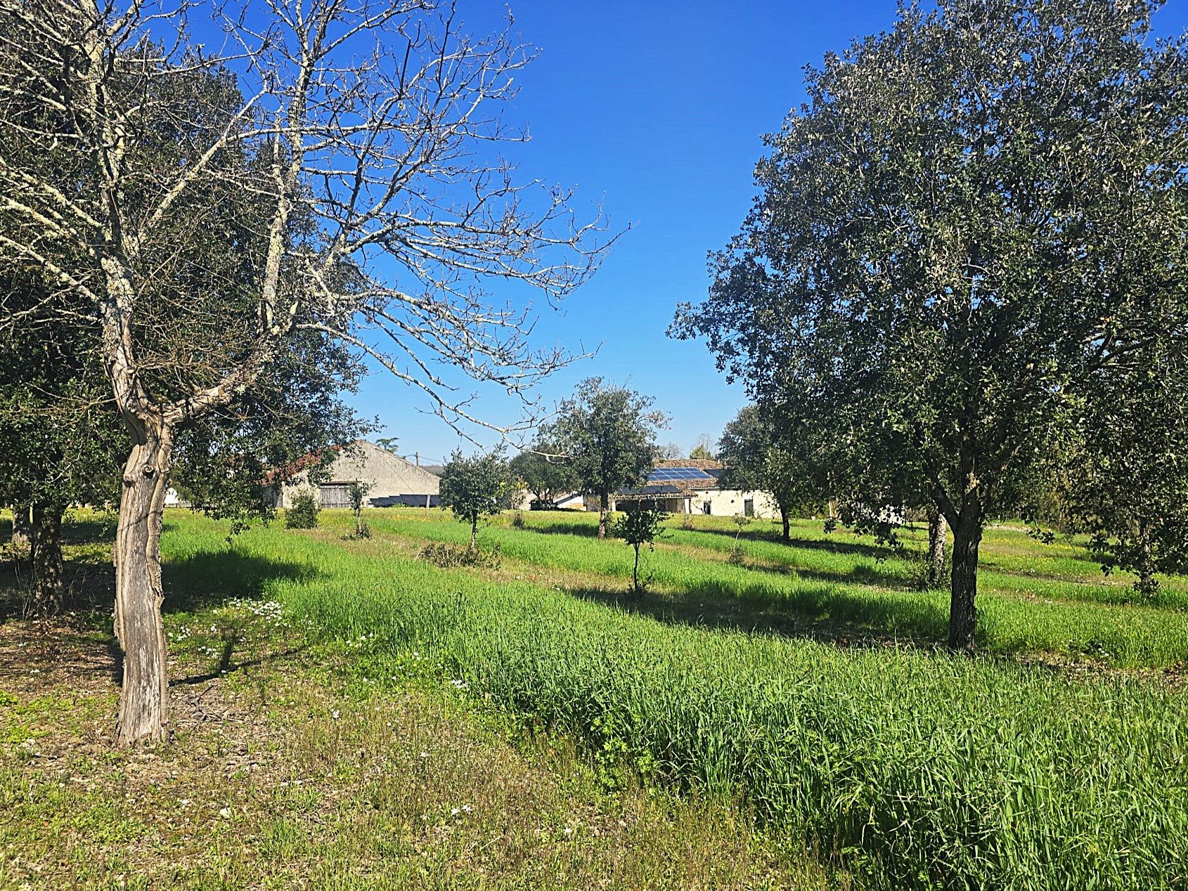 Maison à vendre, 173m², Lacaussade