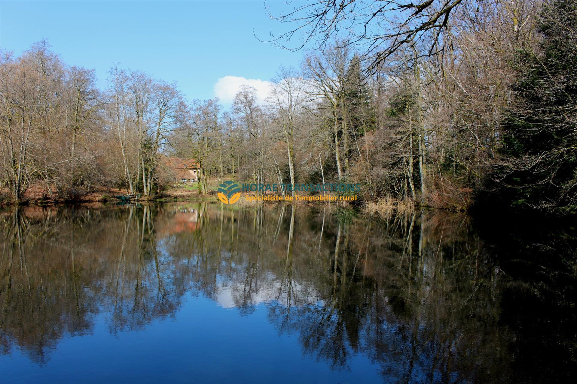 Maison à vendre, 314m², Luxeuil-les-Bains
