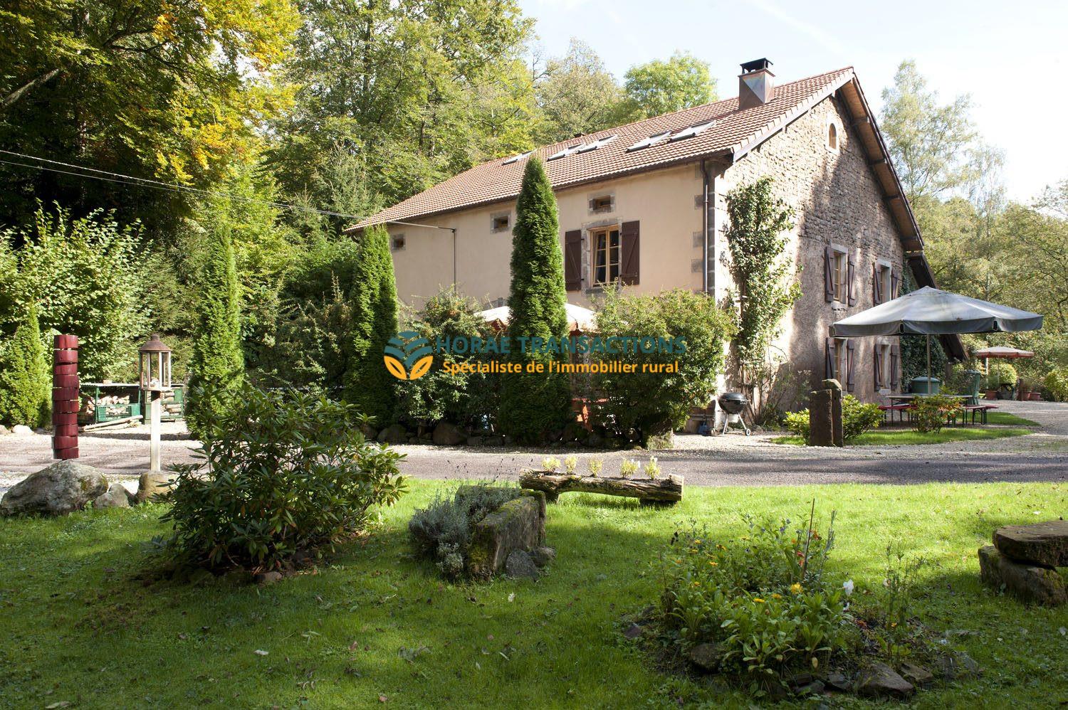Maison à vendre, 314m², Luxeuil-les-Bains