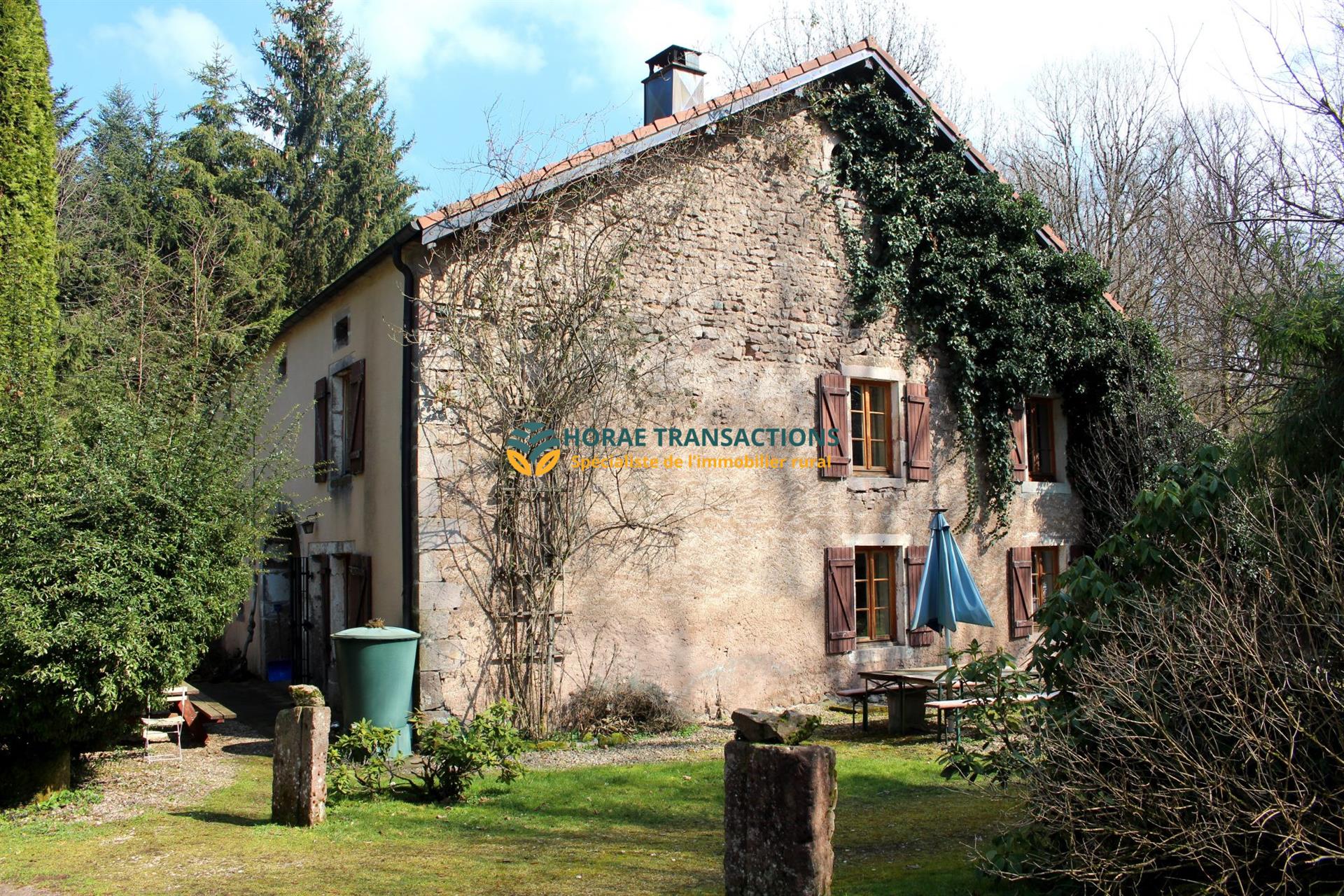 Maison à vendre, 314m², Luxeuil-les-Bains