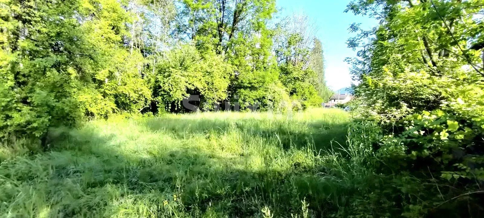 Pozemek