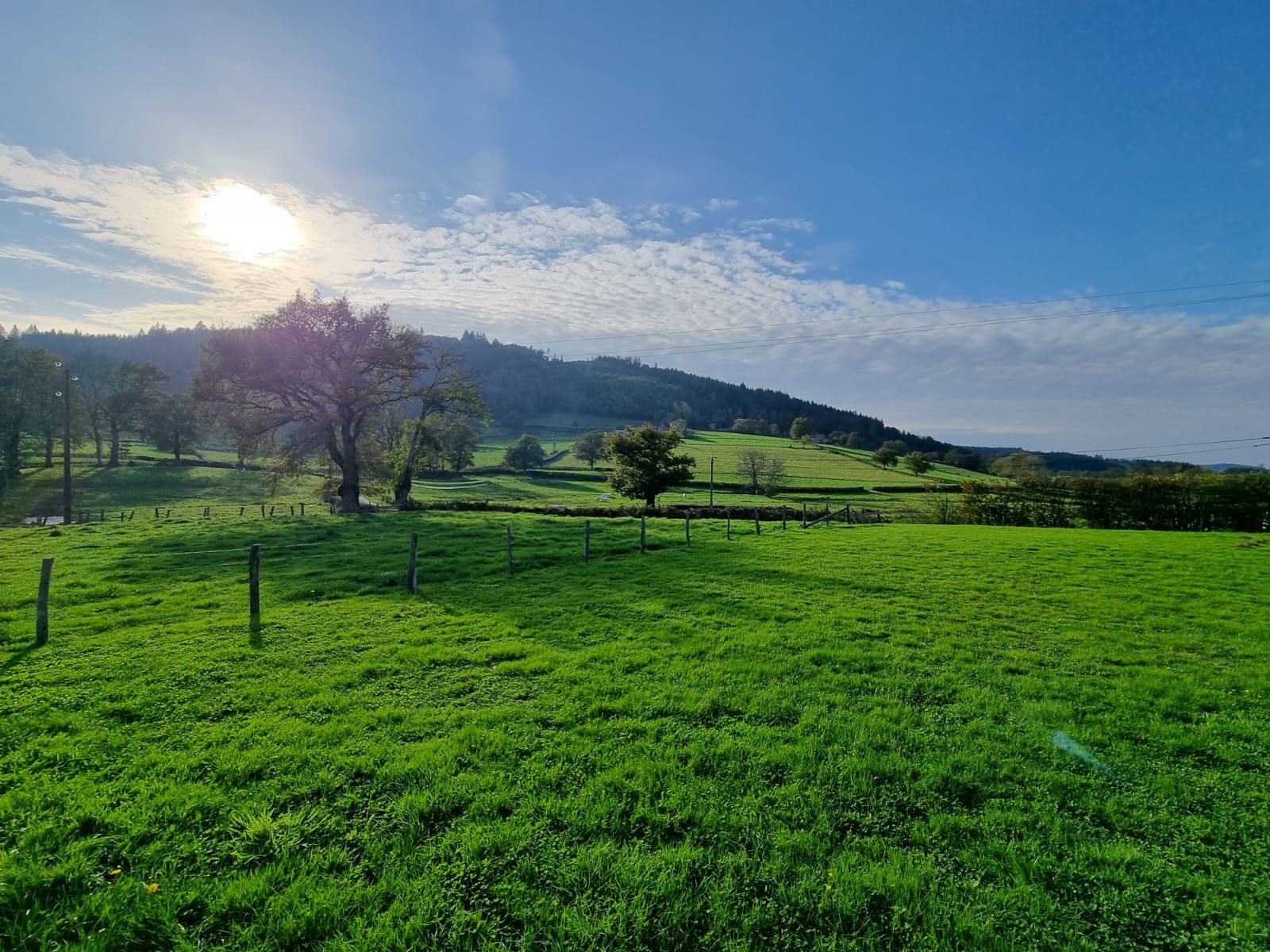 Maison à vendre, 232m², Verosvres