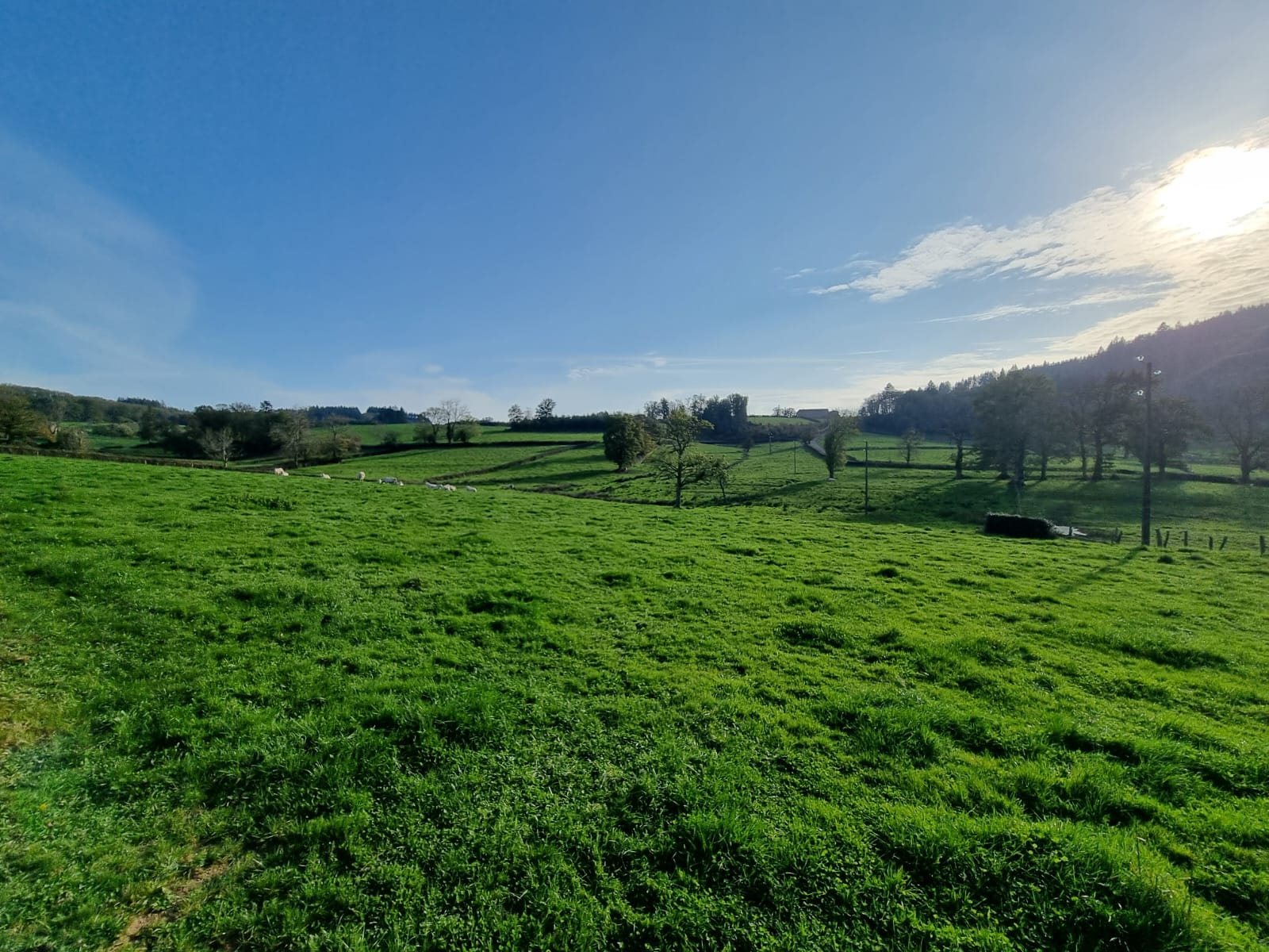 Maison à vendre, 232m², Verosvres