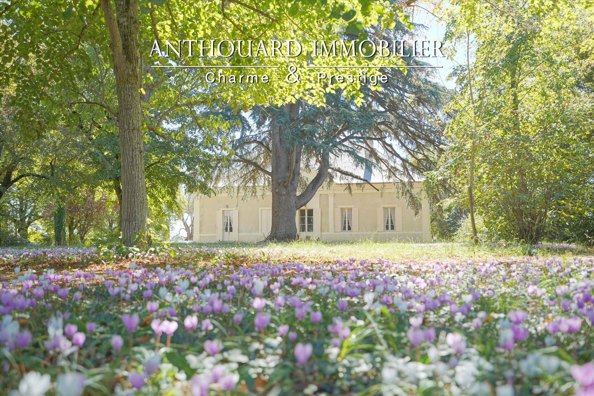 Maison à vendre, 540m², Eymet