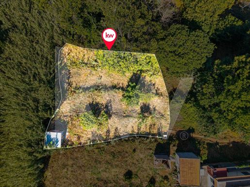 Advert pic 0