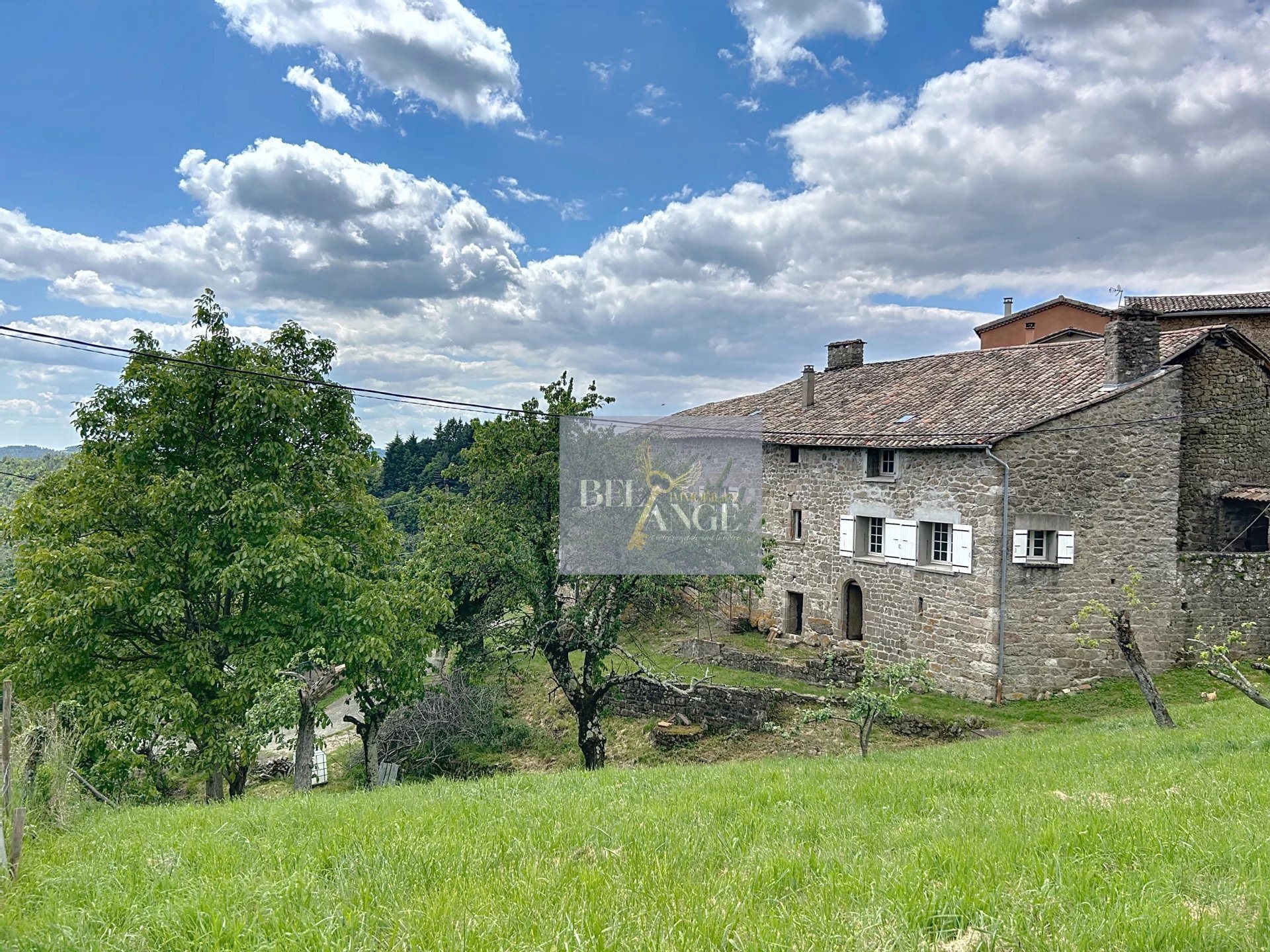 Maison à vendre, 700m², Vals-les-Bains