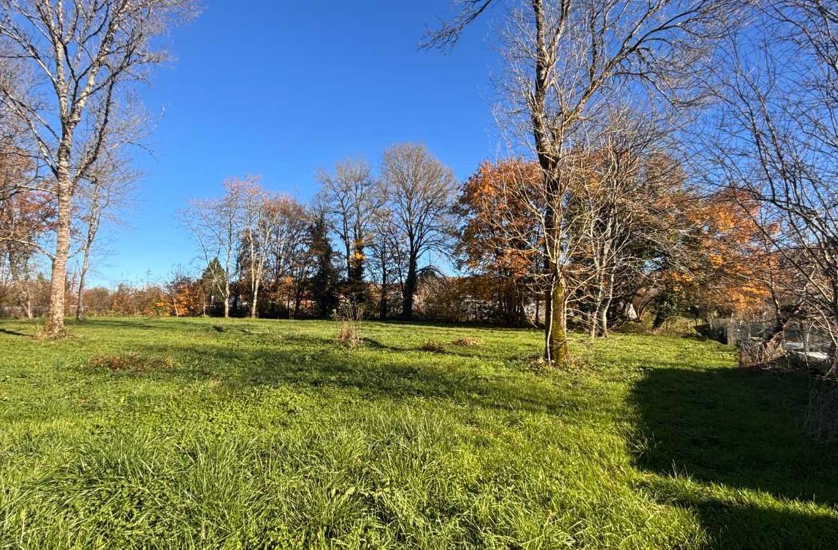 Purchase: Land (24650) - Vue 2
