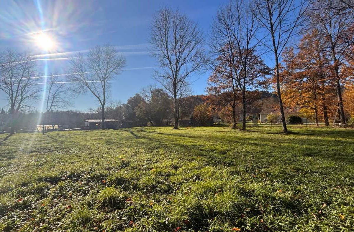 Purchase: Land (24650) - Vue 3