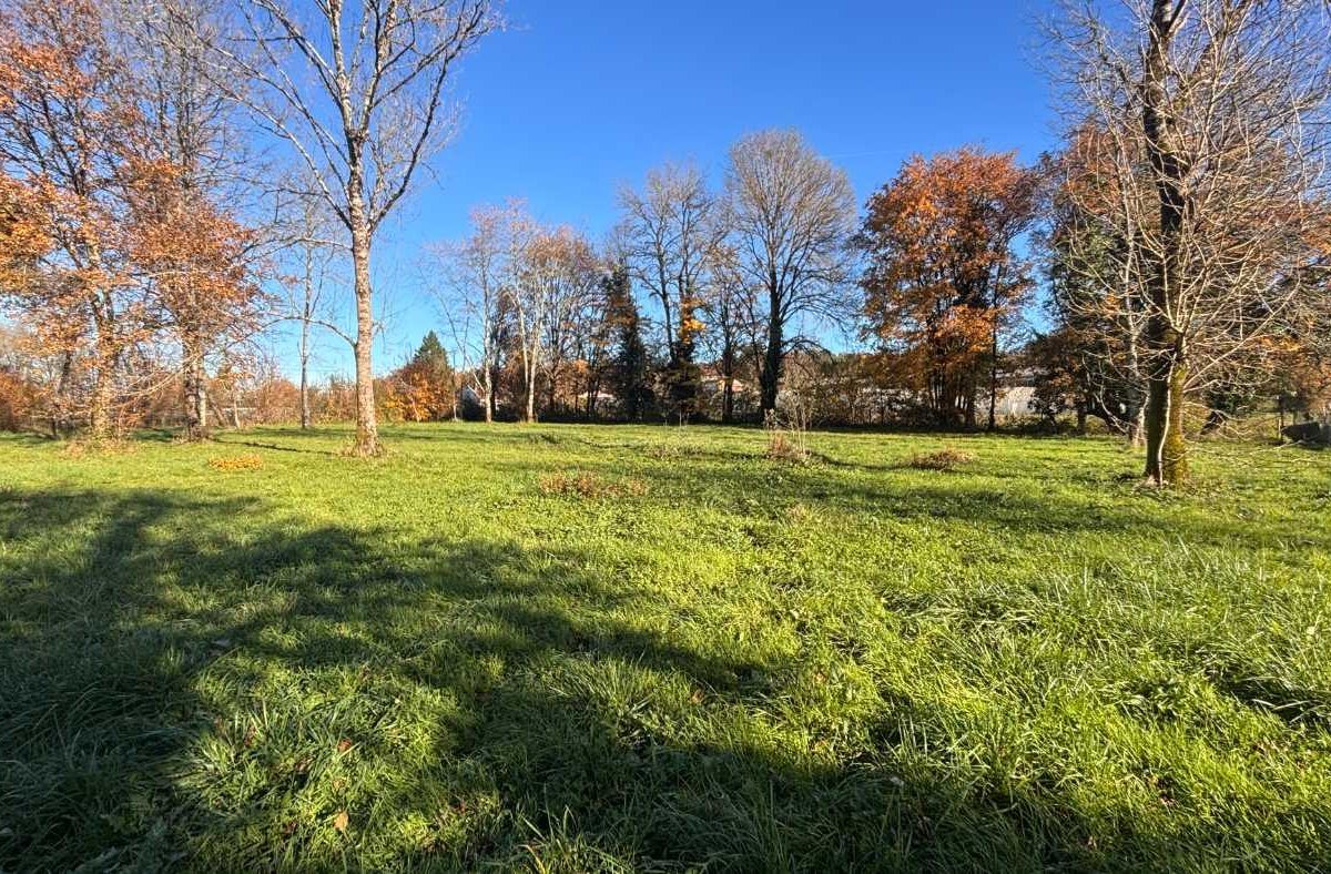 Purchase: Land (24650) - Vue 5