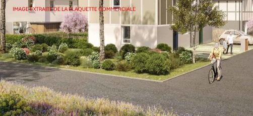 Advert pic 0