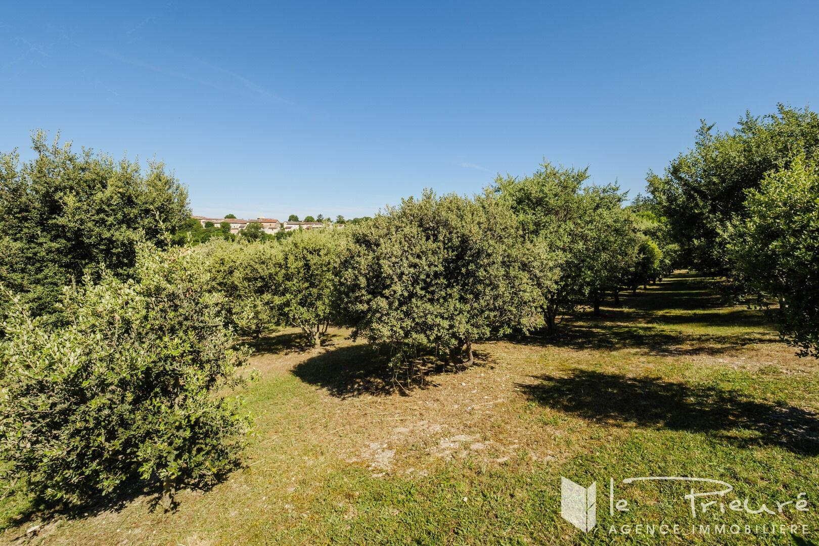 Maison à vendre, 420m², Taïx