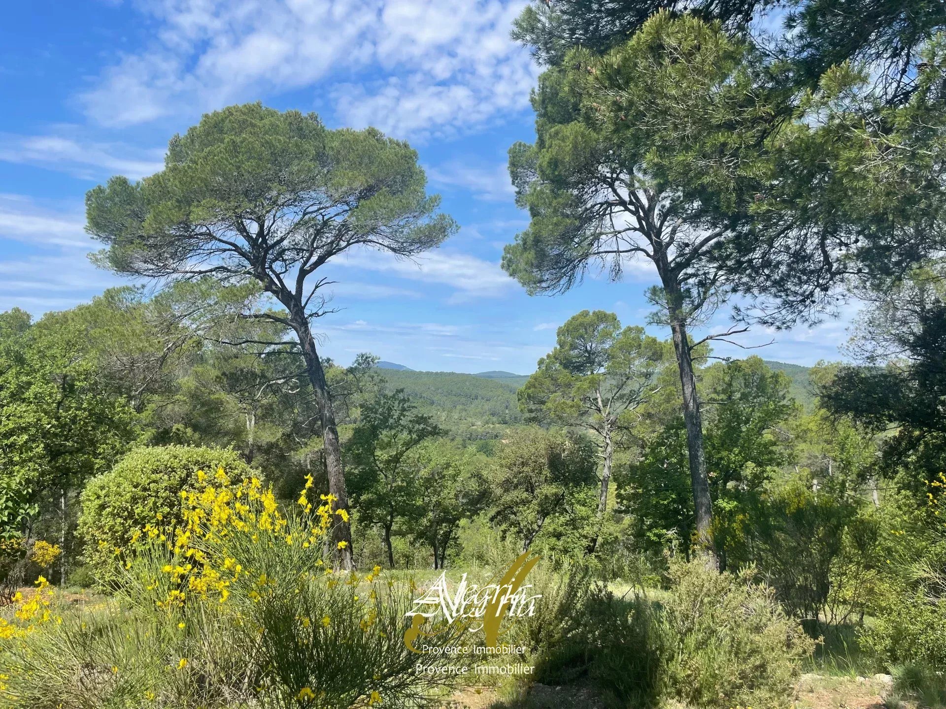 Maison à vendre, 330m², Entrecasteaux