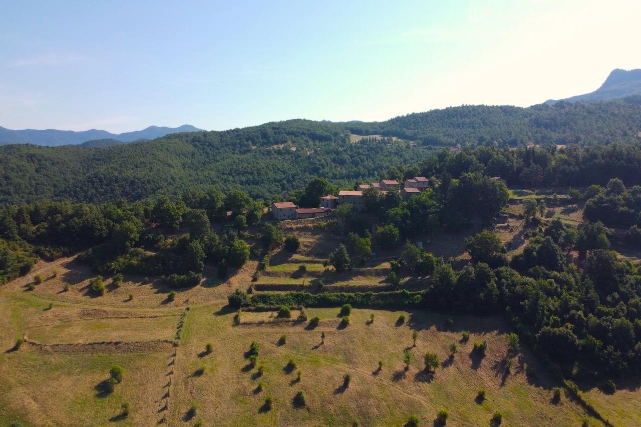 Advert pic 0