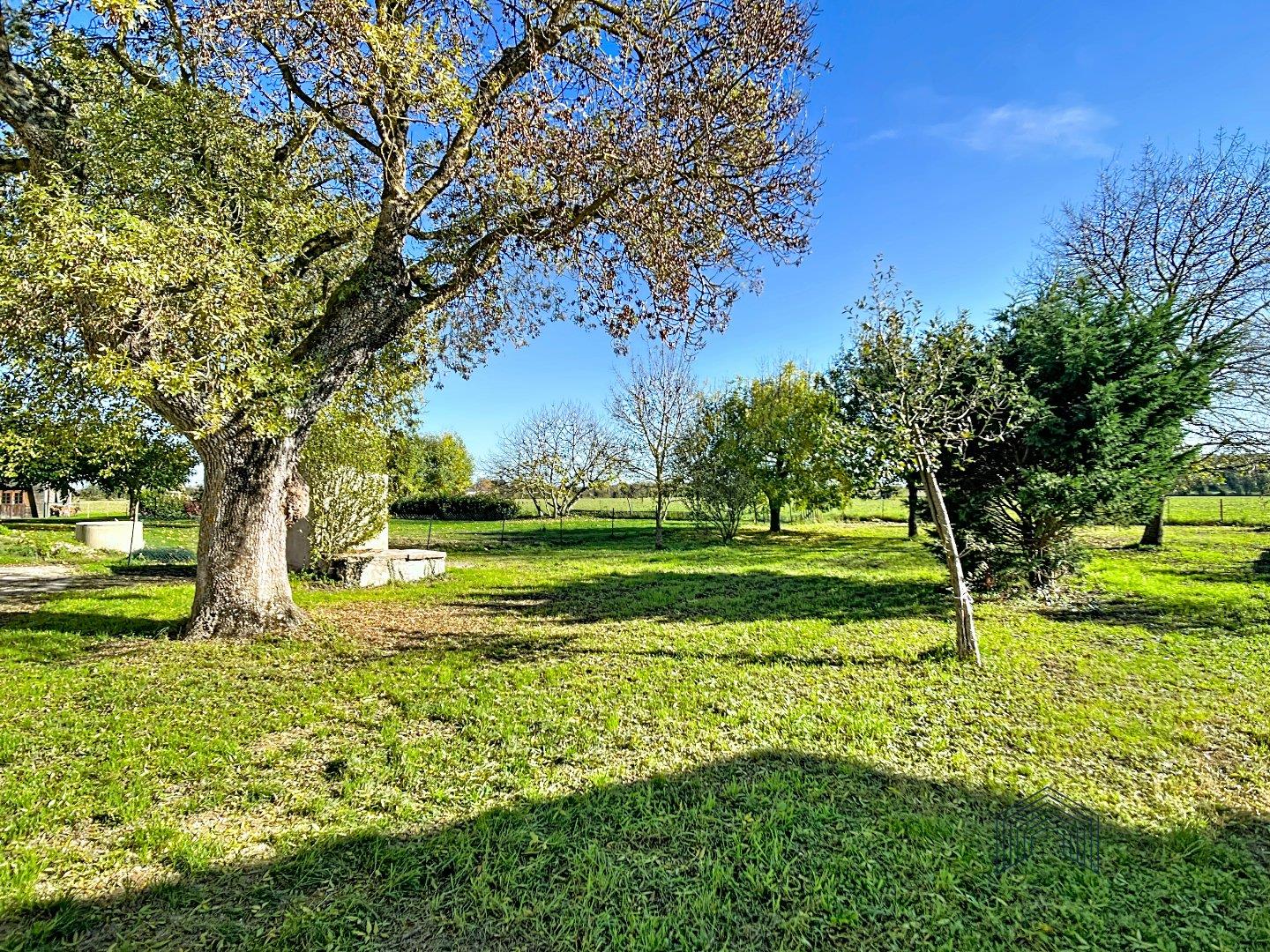 Maison à vendre, 170m², Saint-Sulpice-la-Pointe