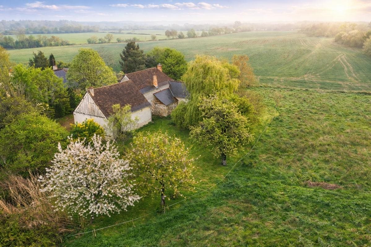 Maison à vendre, 250m², Tours