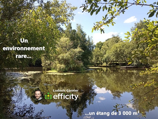 Maison 6 pièces 167 m² · à Mortain-Bocage · 167 m² · 499 900 €