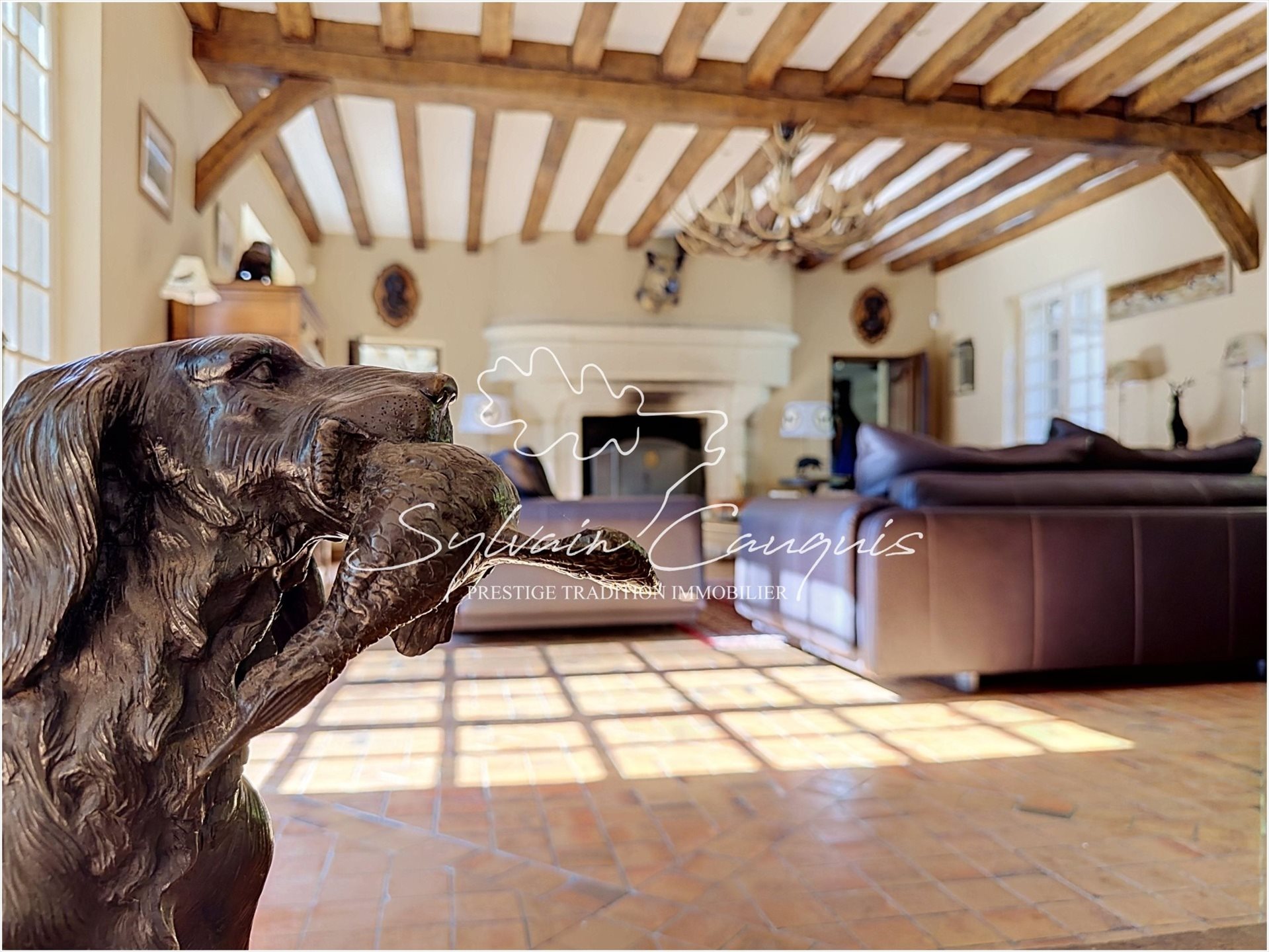 Maison à vendre, 413m², Vannes-sur-Cosson