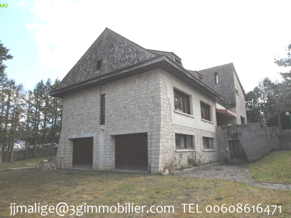 Maison à vendre, 272m², Le Malzieu-Ville