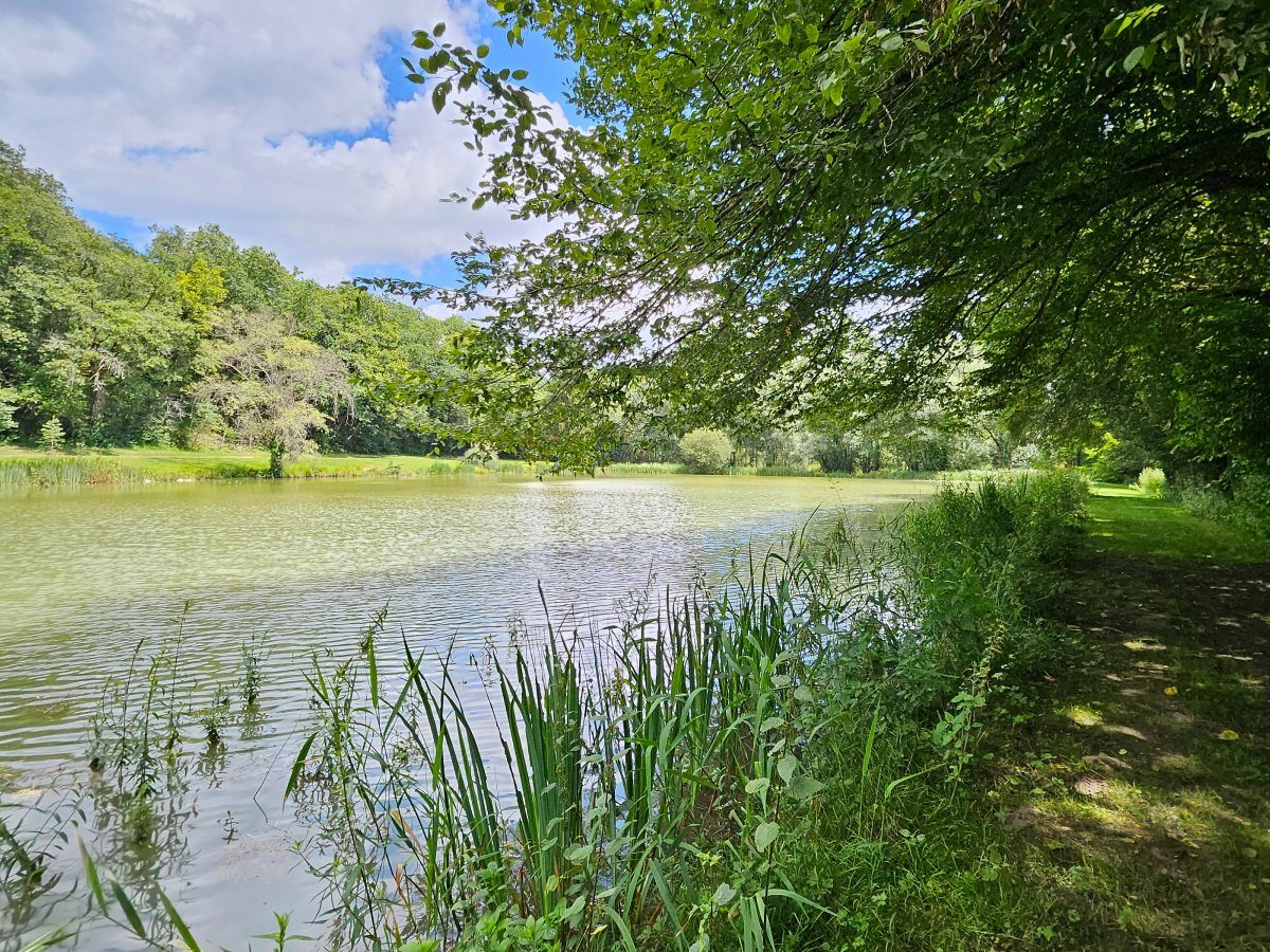 Maison à vendre, 138m², Brantôme en Périgord