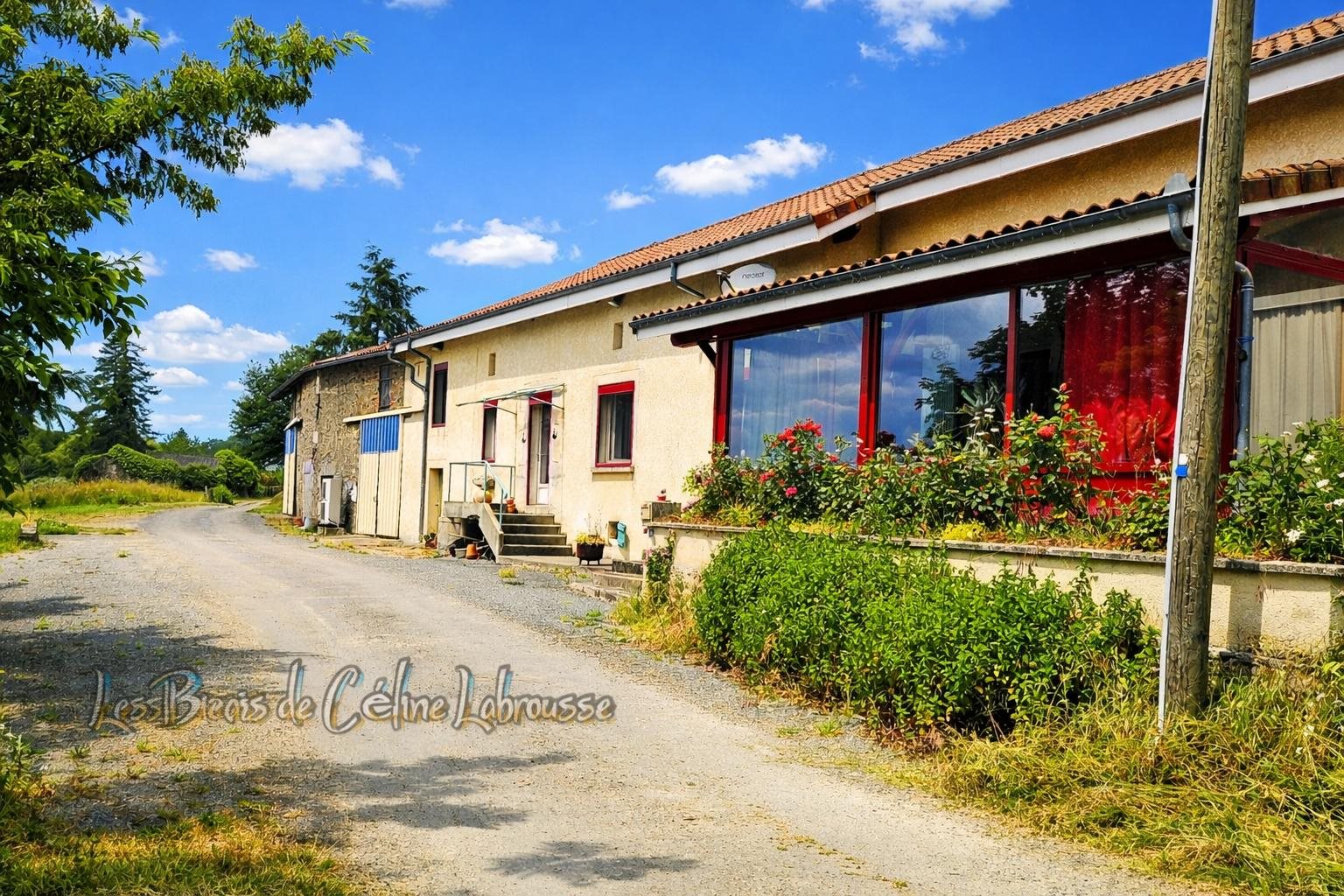 Maison à vendre, 200m², Saint-Saud-Lacoussière