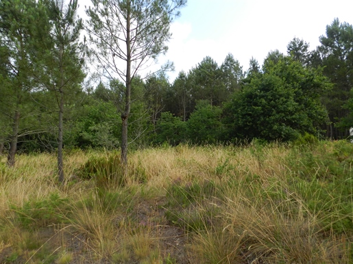 Terrain · à Estigarde · 28 000 €