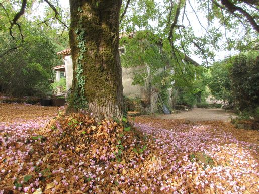 Maison 6 pièces 165 m² · à Brantôme en Périgord · 165 m² · 232 000 €