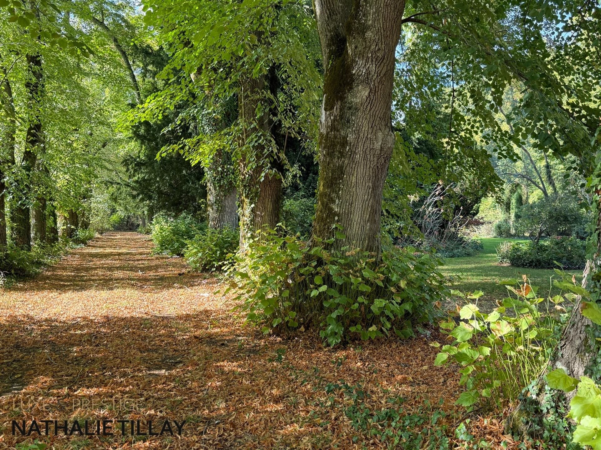 Maison à vendre, 353m², Saint-Jean-de-Braye