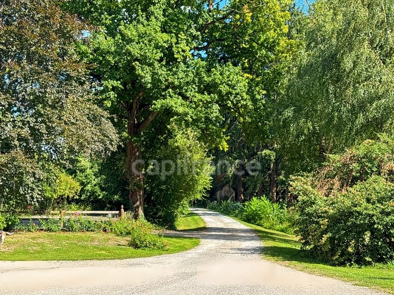 Maison à vendre, 360m², Courcemont