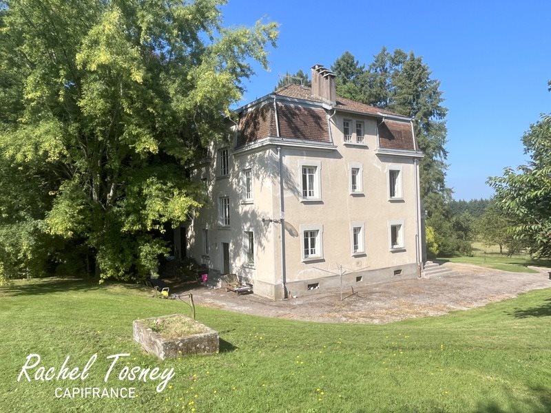 Maison à vendre, 260m², Fougerolles