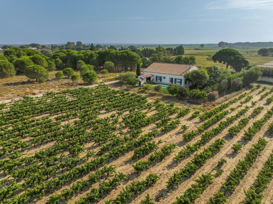 Maison à vendre, 214m², Saint-Laurent-d'Aigouze