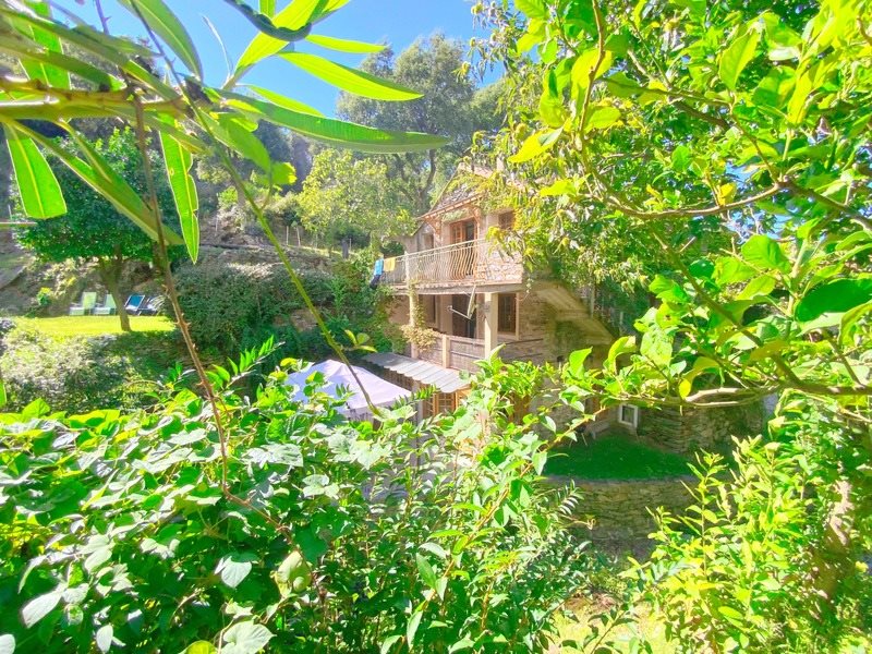 Appartement à vendre, 70m², Oletta