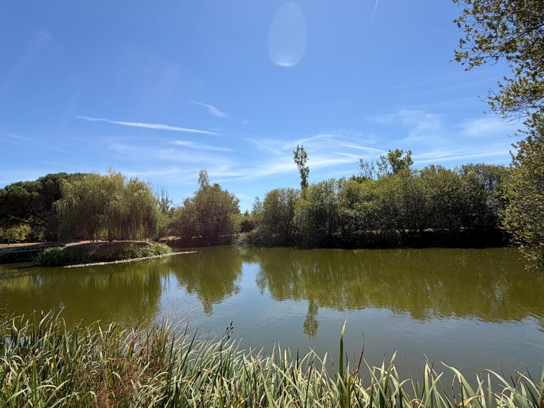 Maison à vendre, 235m², Soullans