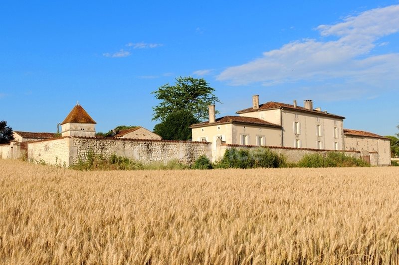 Maison à vendre, 310m², Cognac