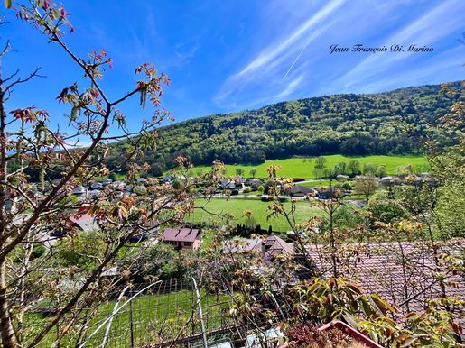 Maison 1 pièce 18 m² · à Monnetier-Mornex · 18 m² · 110 000 €