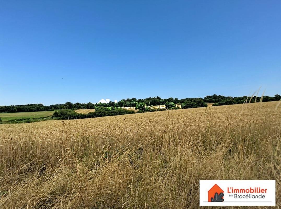 Maison à vendre, 200m², Paimpont