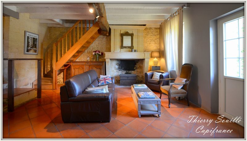 Maison à vendre, 392m², Petit-Palais-et-Cornemps