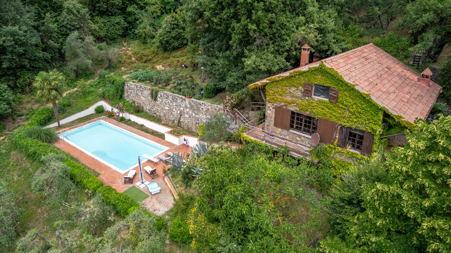 Montalcino (Siena) photo 2