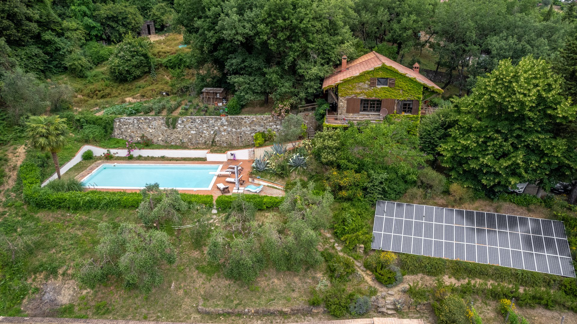 Montalcino (Siena) photo 3