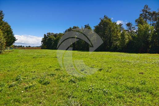 Terrain de 11 707 m2 dont 1800m2 constructible environ · à Nègrepelisse · 65 400 €