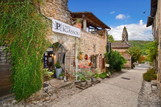 Local commercial 5 pièces 190 m² · à Bruniquel · 190 m² · 620 000 €